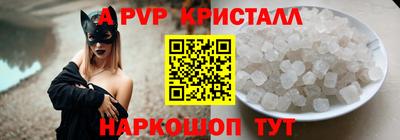 СК Новозыбков