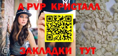 СК Новозыбков