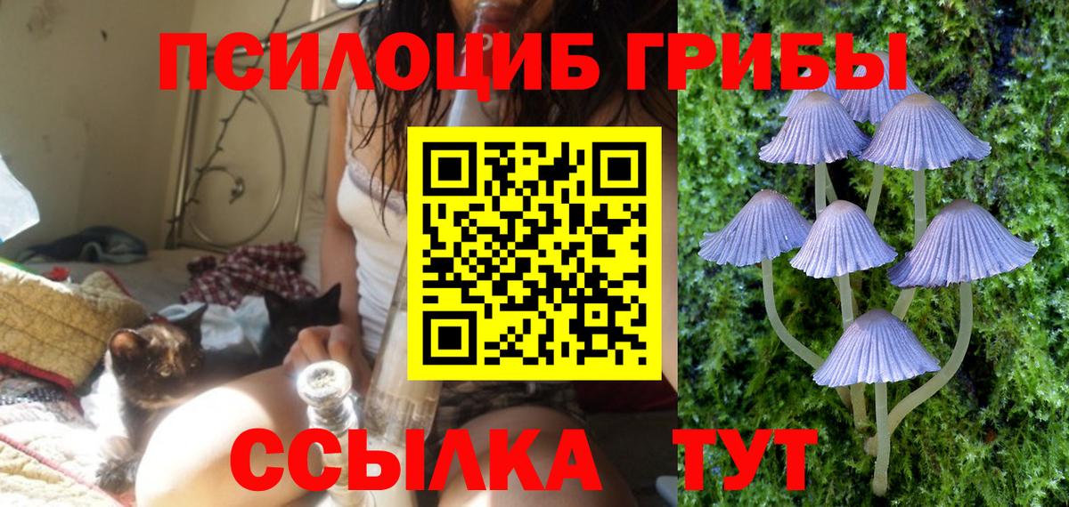 Усть-Илимск  Псилоцибиновые грибы Cubensis  Вход с VPN 